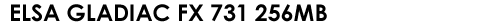 ELSA GLADIAC FX 731 256MB