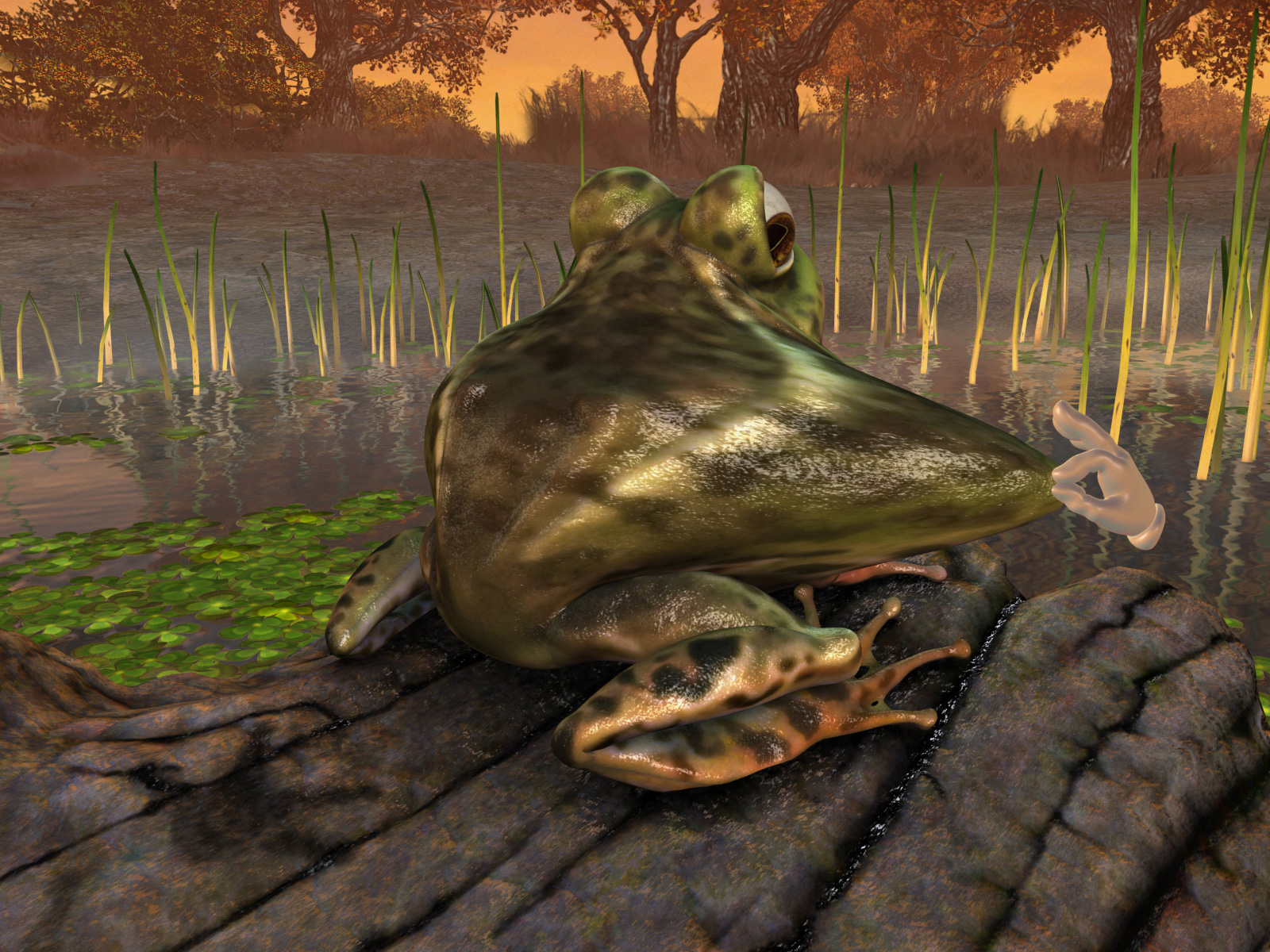 カエル テキサスミドリヒキガエル Bufo debilis 日本最大級の体感型