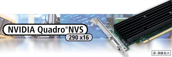 NVIDIA Quadro NVS 290 x16 - 株式会社 エルザ ジャパン