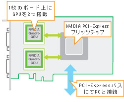 NVIDIA Quadro NVS 440 PCI-E x1 - 株式会社 エルザ ジャパン