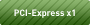 PCI-Express x1Ή