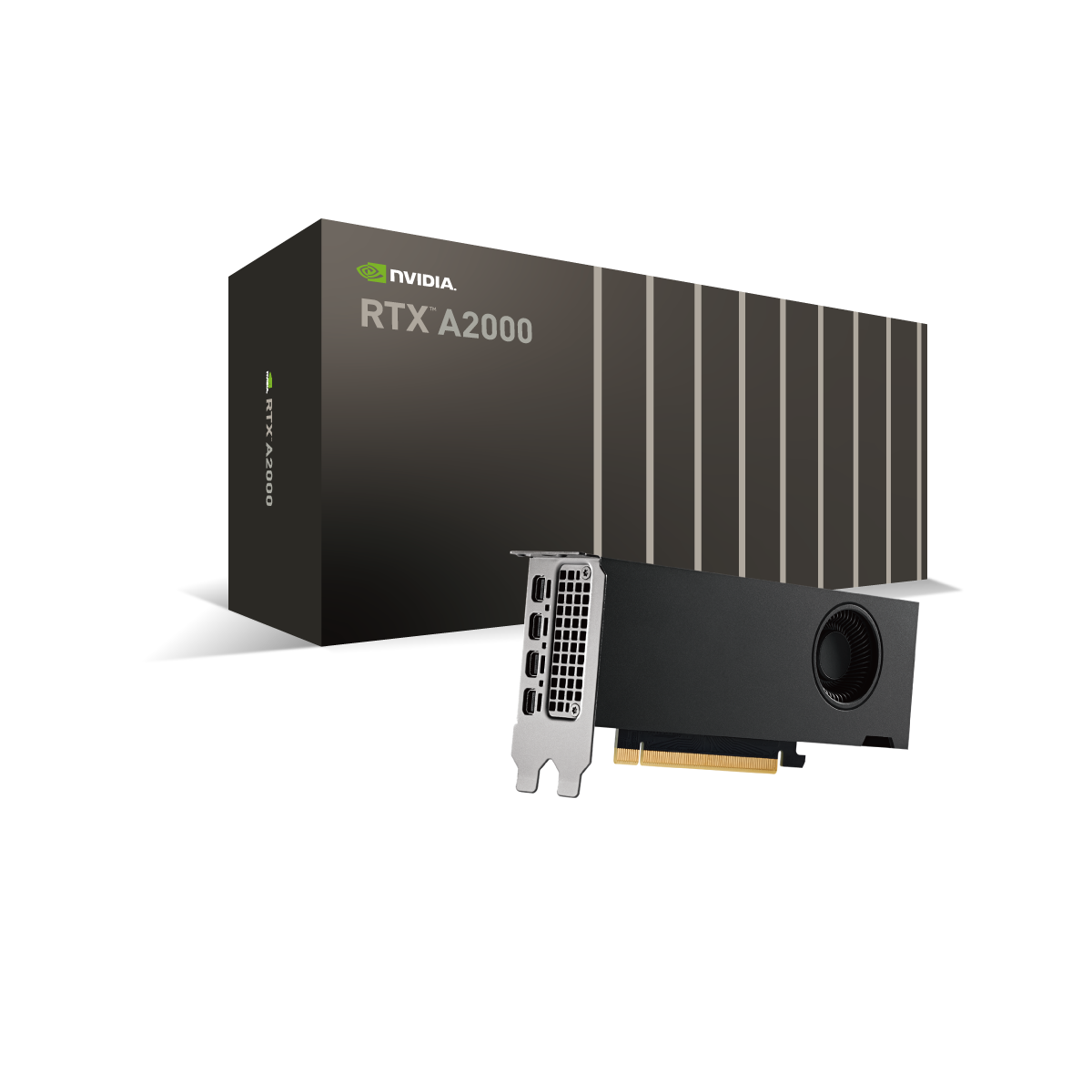 NVIDIA RTX A2000 - 株式会社 エルザ ジャパン