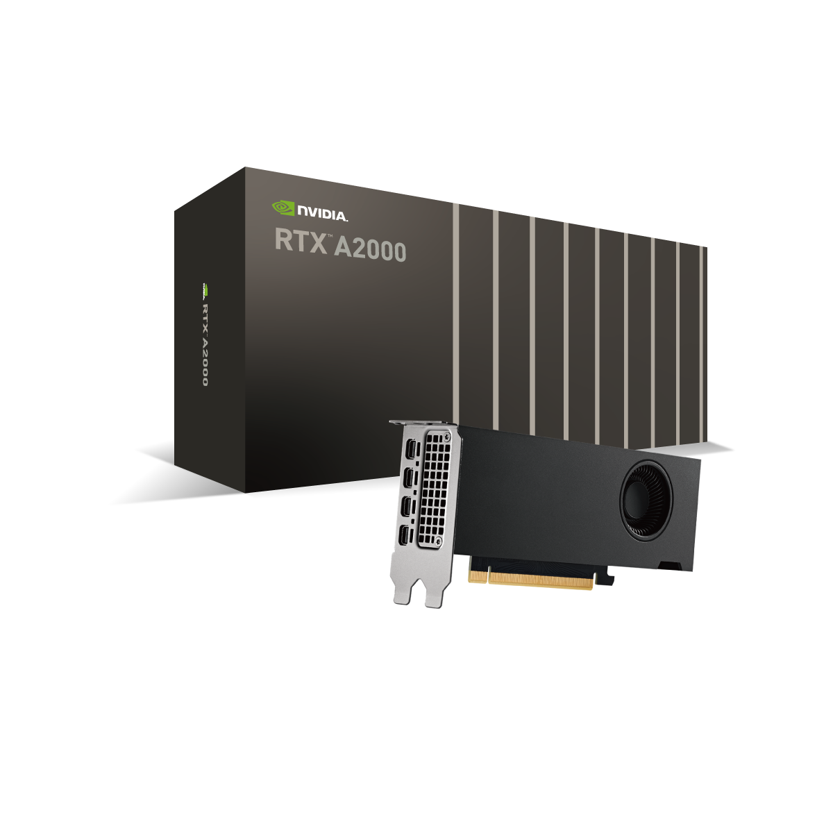 NVIDIA RTX A2000 12GB - 株式会社 エルザ ジャパン