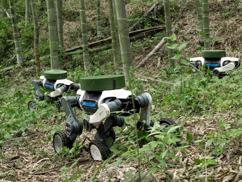 軽量かつパワフル。複雑な地形を走破する高い運動性能