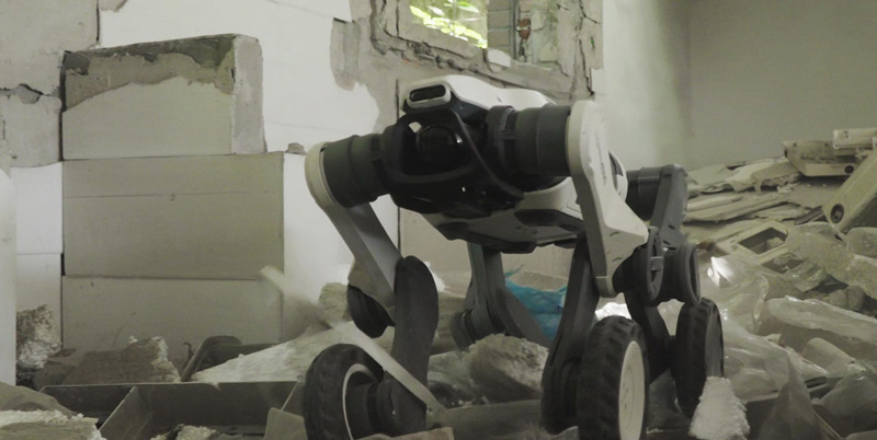 DEEPRobotics Lynx S10