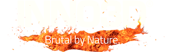 INNO3D