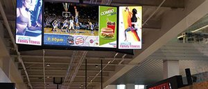 IPビデオが創出する、オンサイト（現地）体験の価値向上